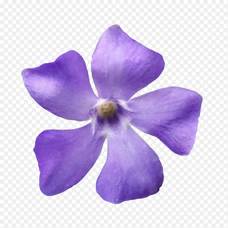 �ʻ������ʻ�ʸ���ز�-������