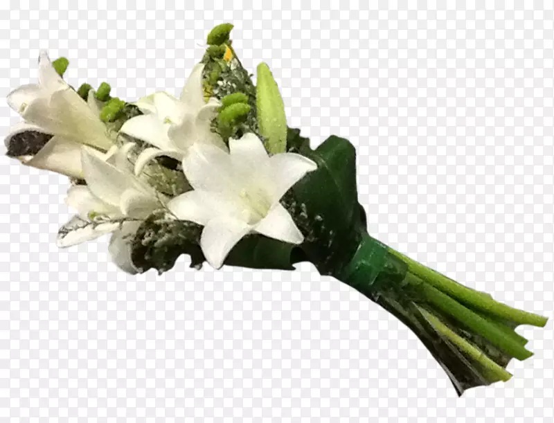 �л����ͻ�����ɫ����-������