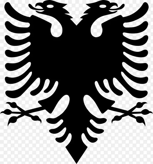 ͼ�����-������