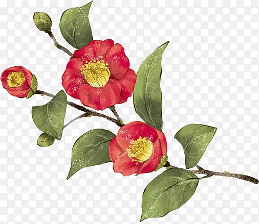 ��ͨ�ֻ��ɫ����-������