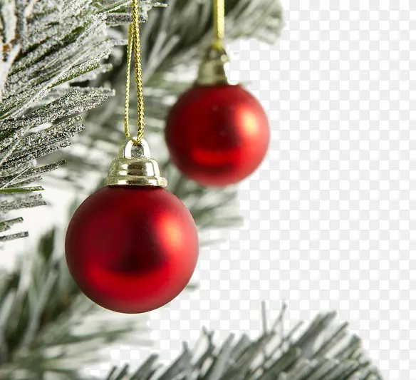 ʥ���ں�ɫ��-������