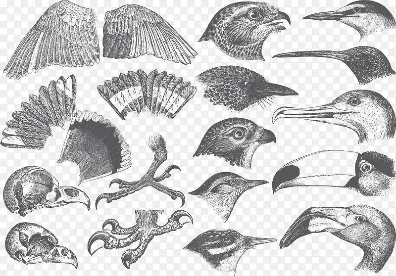 ��������-������