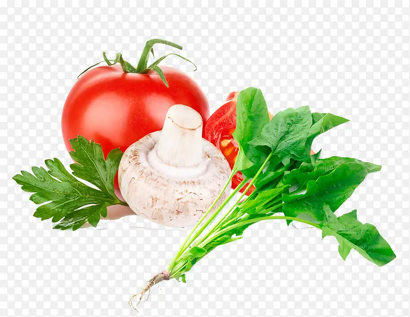 �߲�����������Ģ��-������