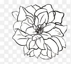 �ֻ滨��-������