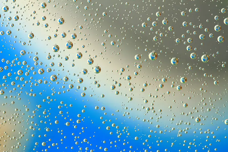 ���ݱ���-������