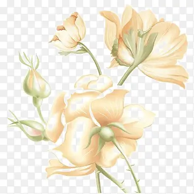 ����õ��-������