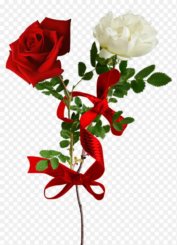 �ֻ��¼���-������