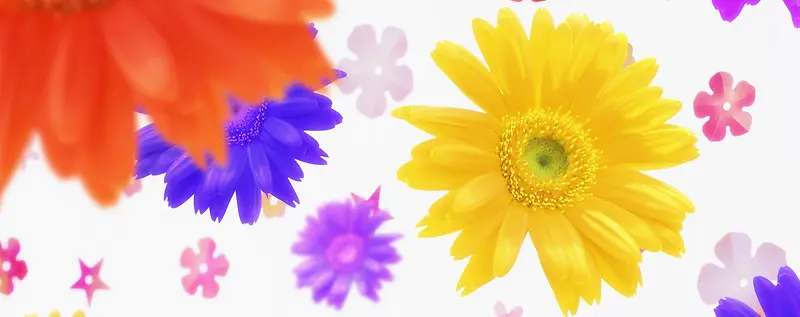 �ջ����banner����-������