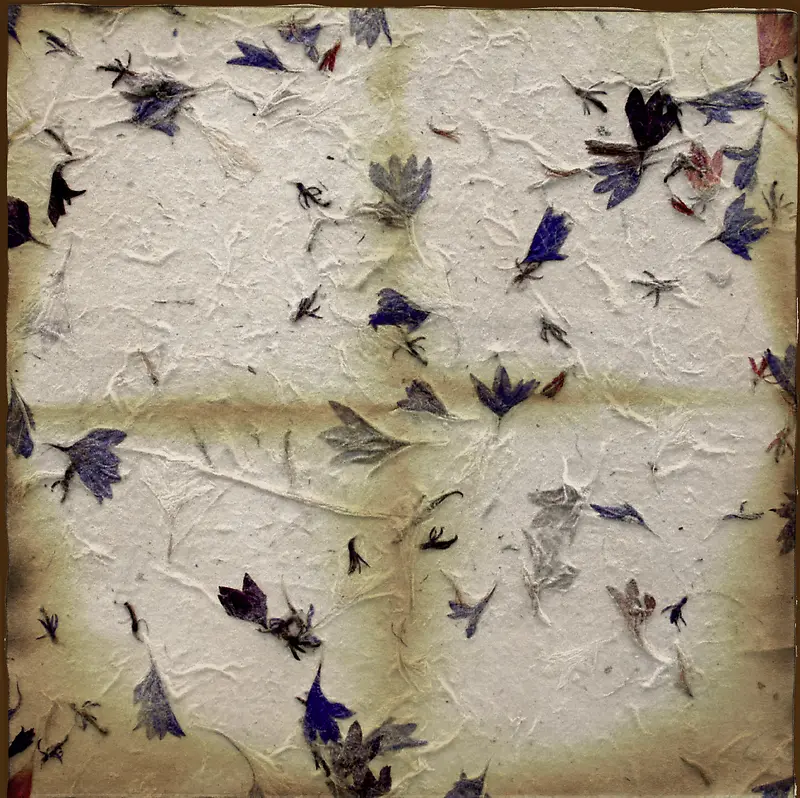 ��ɫ��Ҷ����-������