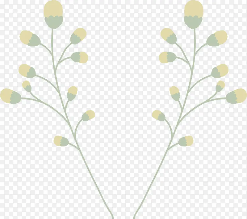 ��֦-������