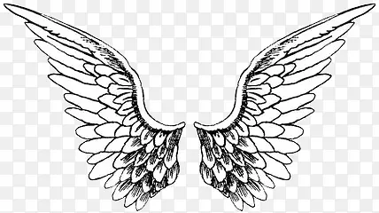 װ��ͼ��-������