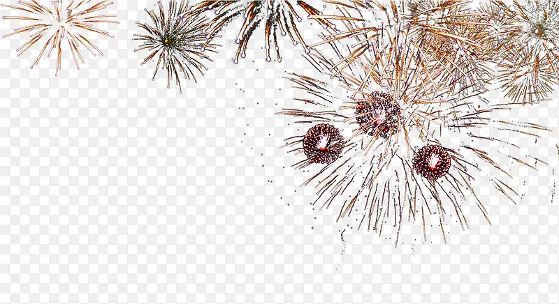 �̻�Ѥ�ö��KTV�����ز�-������