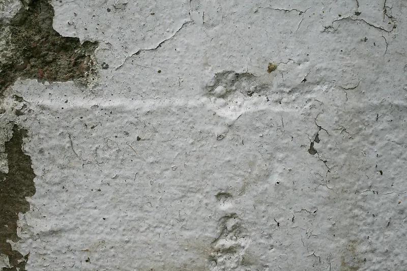 �ƾ�ǽ�ڱ���-������