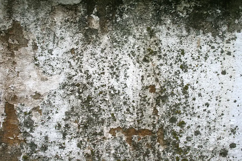 �ƾ�ǽ�ڱ���-������