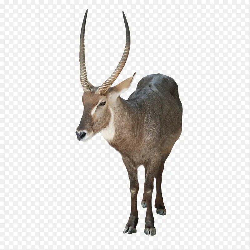 ������-������