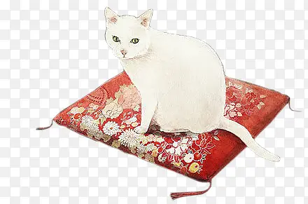 ��ɫë��ɫ����-������