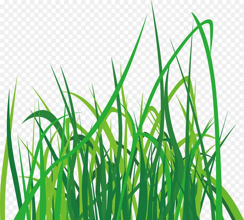 ��ͨС��ʸ��ͼ����-������