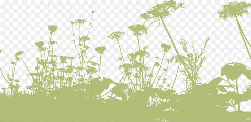 ��ɫ���ݼ�Ӱ-������