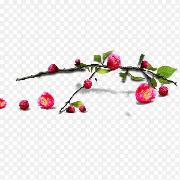 ��֦÷��-������