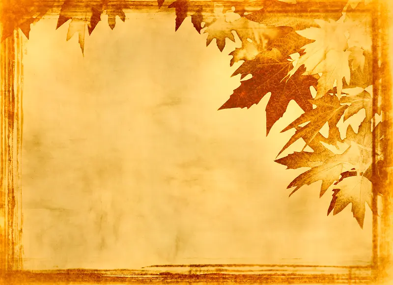 ��Ҷ����-������