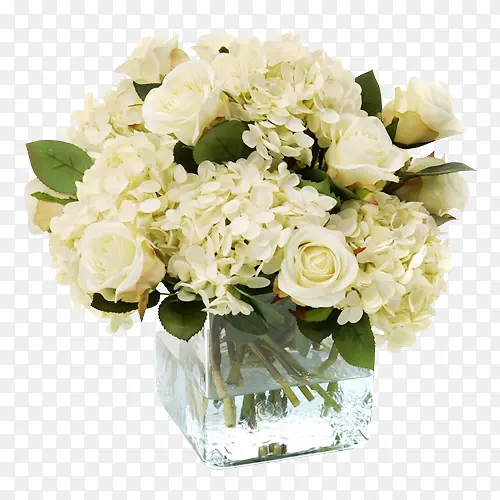 ˮ�а�ɫõ��ˮ��-������