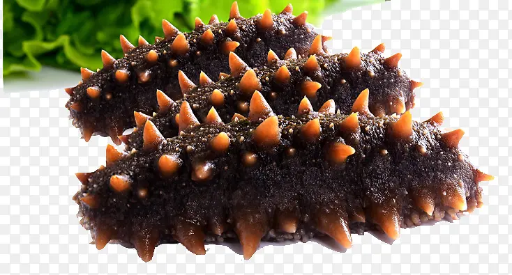 �����߲���ͼ-������