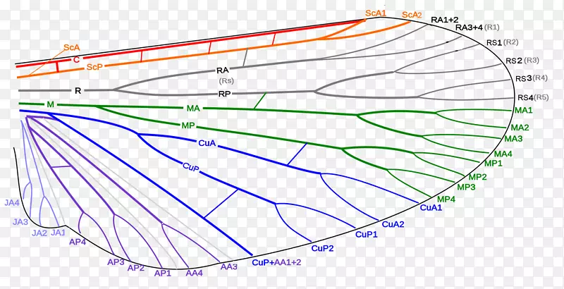 ������������̬�������-������