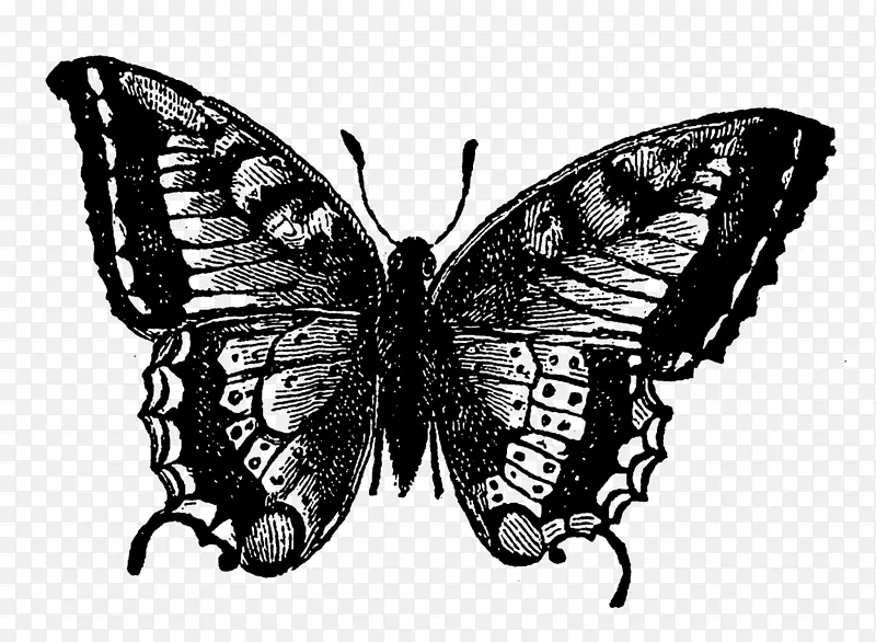 ������������ҹ���-����-������