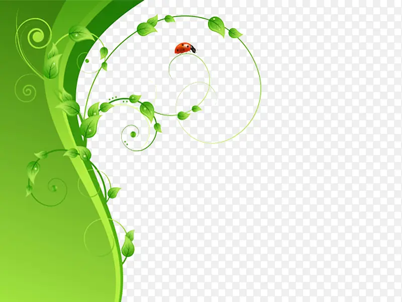 ��ɫ��������-������