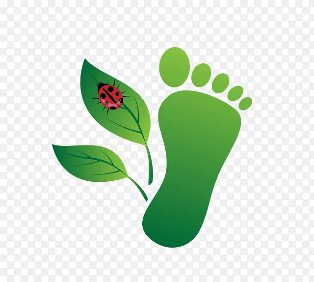 ��ɫ����-������