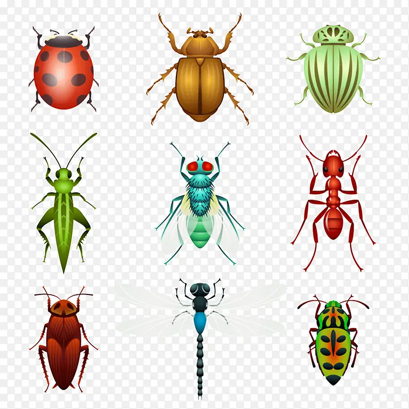 ����ר��-������