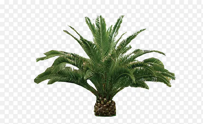 ��-������