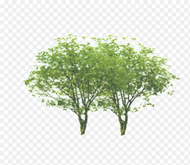 ��-������