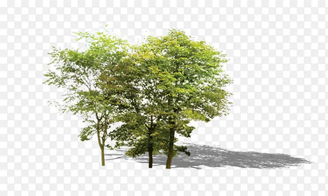 ��-������