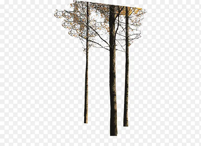 ��-������