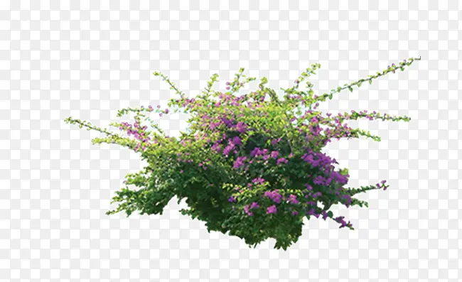 ��-������