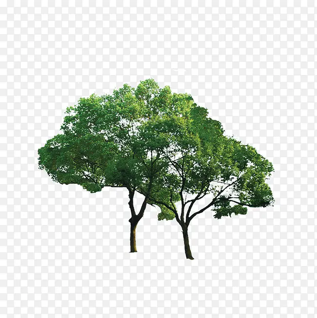 ��-������