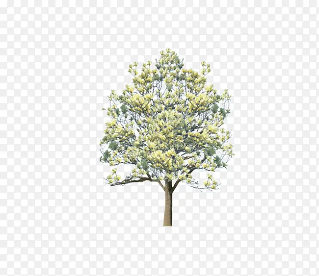 ��-������