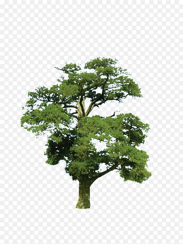 ��-������