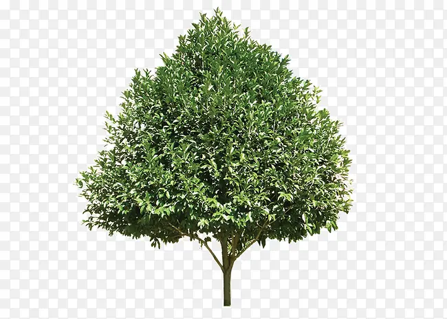 ��-������