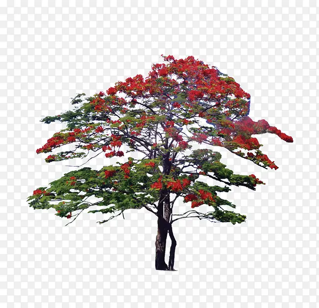 ��-������