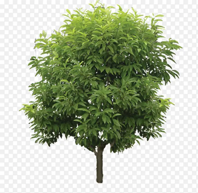 ��-������