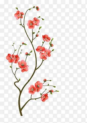 һ��֦��-������