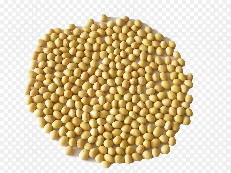 ԲԲ�Ļƶ�-������