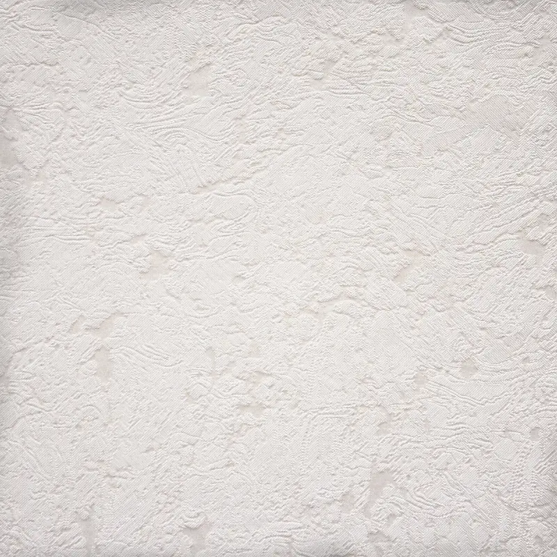 �������Ʊ���-������