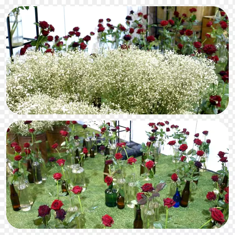 ԰�ֿ���ֲ���ľ-�컨-������