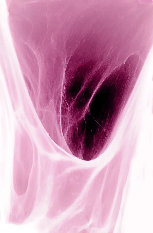 �λ�˿������-������