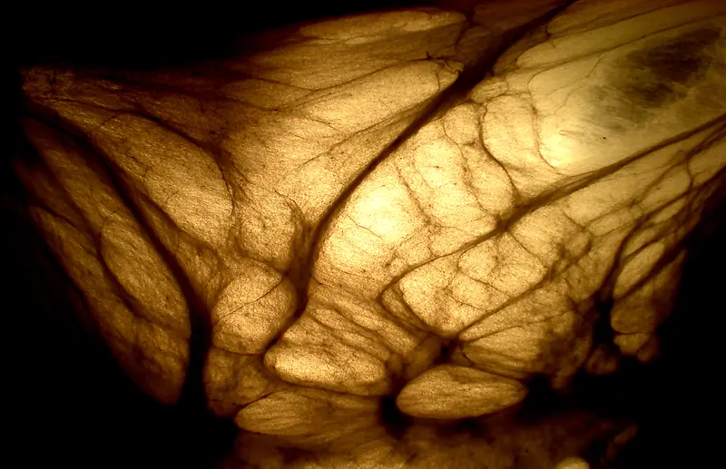 ��˿��������-������