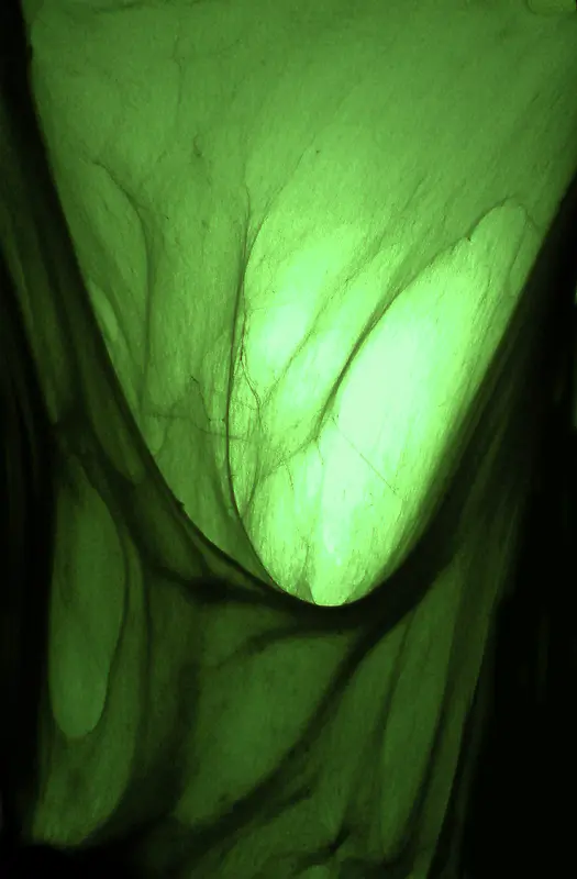 ��ɫ˿������-������