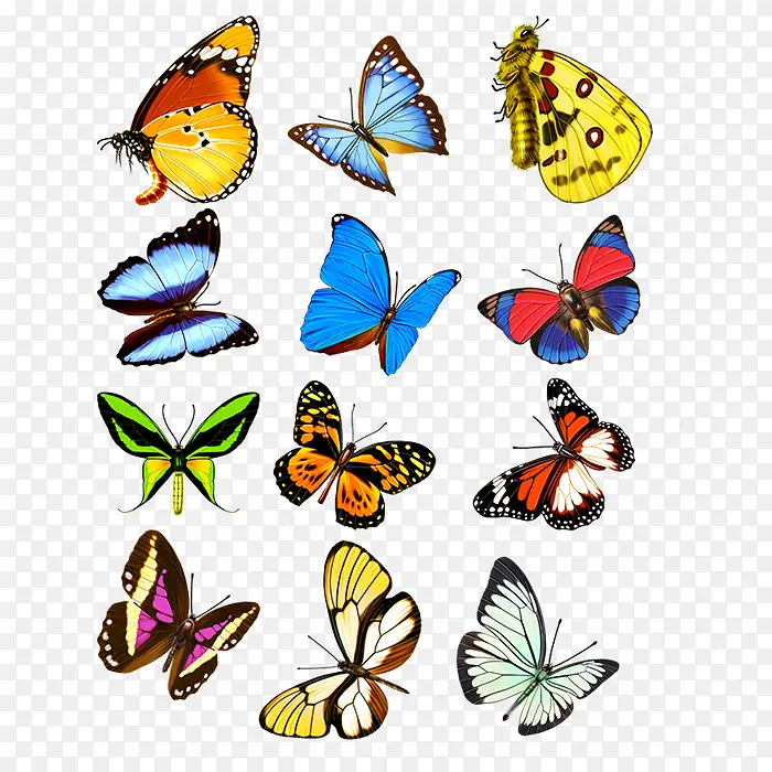 ����-������